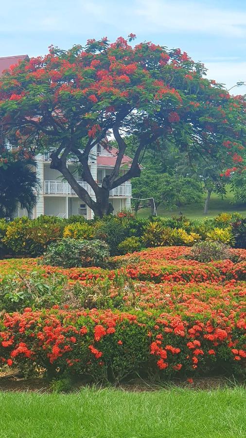 Ti Oasis Trinidad, Studio Vue Mer A Pierre & Vacances Сент-Люс Экстерьер фото